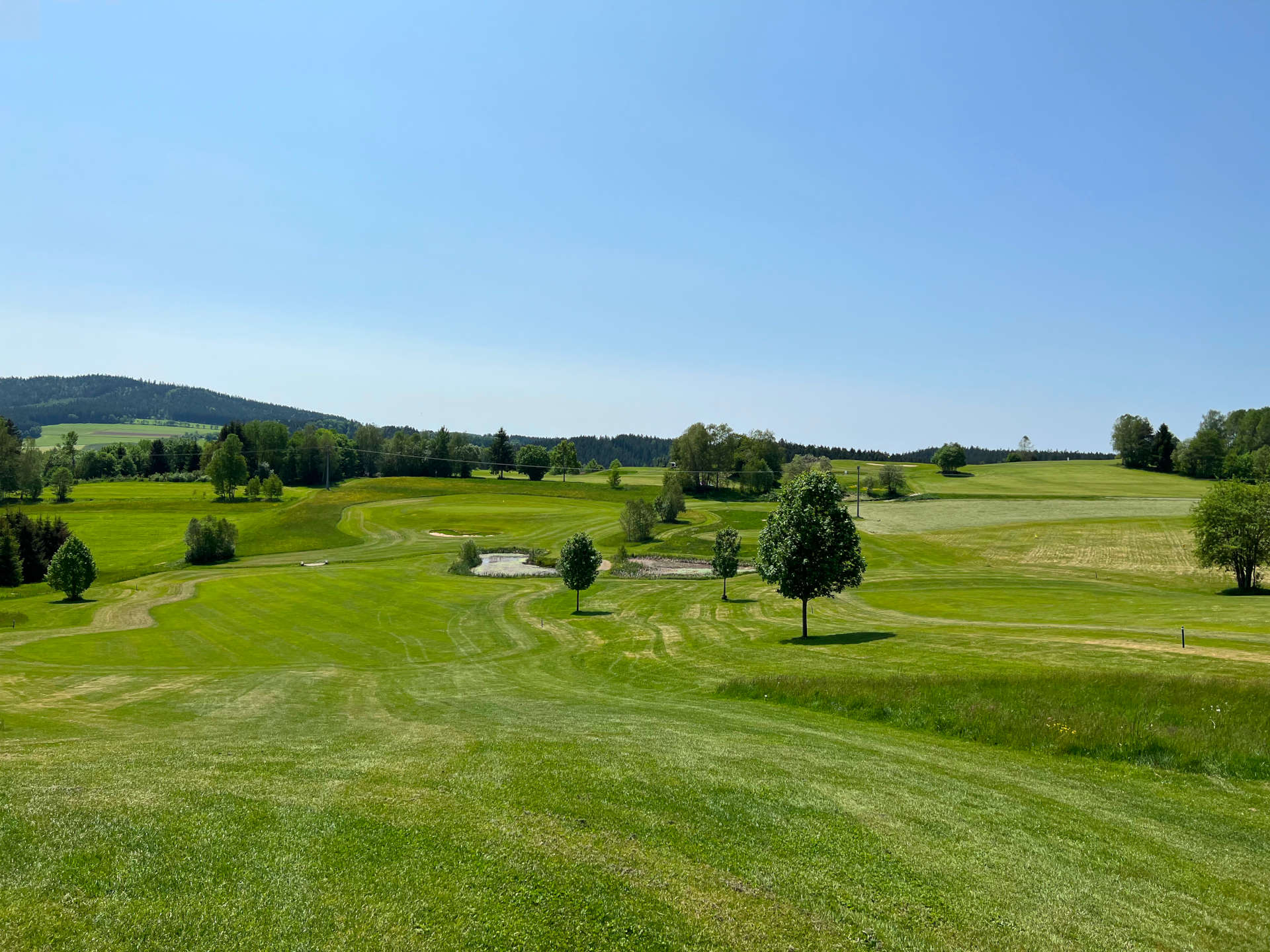 Schnuppertraining oder Golfcart